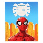 Подарочный набор для мальчика, 10 предметов, Человек-паук - фото 37954870