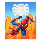 Подарочный набор для мальчика, 10 предметов, Человек-паук - фото 37954871