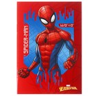 Подарочный набор для мальчика, 5 предметов, Человек-паук - фото 24703290