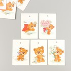 Бирка картон "Цветы 02" набор 10 шт (5 видов) 4х6 см - фото 321033419