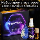 Набор ароматизаторов для авто Tensy Lady, МХ-04, спрей, бутылочка, картон - фото 8927467