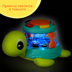Музыкальная игрушка «Весёлая черепаха», звук, свет - Фото 4