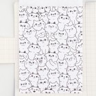 Подарочный набор, в открытке: отрывной блок с заданиями и карандаши «Енот» - фото 23617690 Подарочный набор, в открытке: отрывной блок с заданиями и карандаши «Енот» - фото 23617690