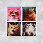 Объёмные 3D стикеры на телефон «Коты», 4 шт, 3 х 3 см - фото 3838301