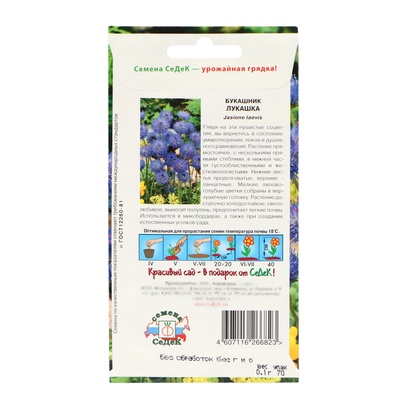 Семена цветов букашник «Лукашка», Евро, 0.1 г