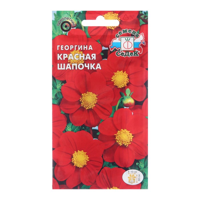 Семена цветов Георгина "Красная шапочка", 0,15   1028018