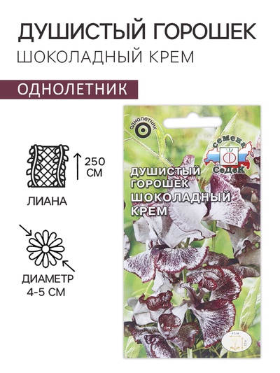Семена цветов душистый горошек «Шоколадный крем», 0.5 г