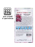 Семена цветов Иберис "Южный Вечерок", Евро, 0,1 г - фото 32647106