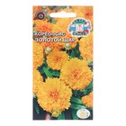 Семена цветов кореопсис «Золотой шар», Евро, 0.025 г - Фото 1
