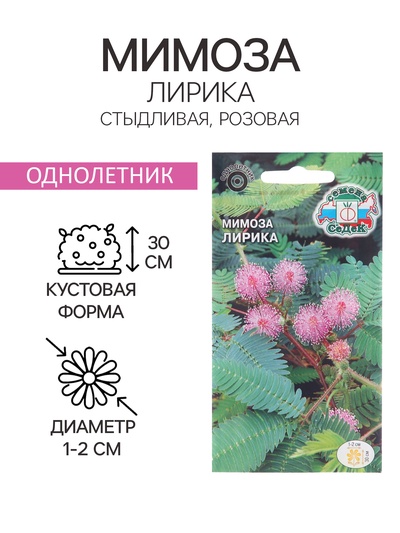 Семена цветов Мимоза "Лирика", стыдливая, розовая, Евро, 0,1 г