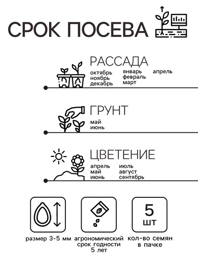 Семена цветов Пеларгония "Арба", Евро, 5 шт