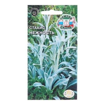 Семена цветов Стахис «Нежность», 0.1 г, «СеДеК»