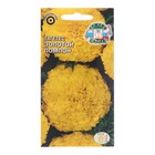 Семена цветов Тагетес "Золотой помпон", Евро, 0,2 г - фото 321034575