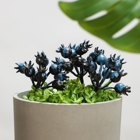 Набор декоративных штекеров «Ягодки», 15×6×6 см, 3 шт., синий  (артикул 9943568)  большой выбор товаров оптом и в розницу по низким ценам с доставкой