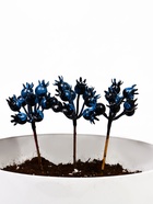 Набор декоративных штекеров «Ягодки», 15×6×6 см, 3 шт., синий  (артикул 9943568)  большой выбор товаров оптом и в розницу по низким ценам с доставкой