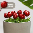 Топпер для творчества TAKE IT EASY «Гранат», набор 10 шт., в цветы, в кашпо, 4×3 см - Фото 1