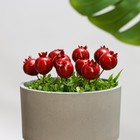 Топпер для творчества TAKE IT EASY «Гранат», набор 10 шт., в цветы, в кашпо, 4×3 см - Фото 3