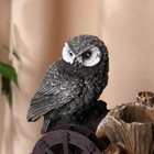 Фонтан настольный «Филин у мельницы», 16×20×28 см, с подсветкой 10084512