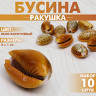 Бусины для творчества «Ракушка», 2×1 см, гладкая. набор 10 шт, цвет бело-коричневый - Фото 1