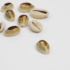 Бусины для творчества «Ракушка», 2×1 см, овальная, набор 10 шт, цвет коричневый - Фото 2