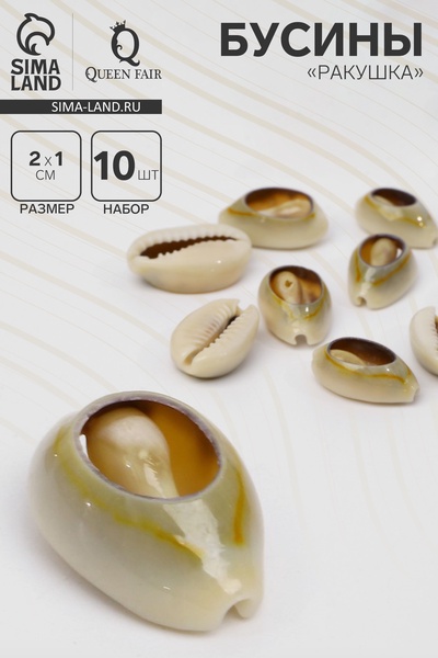 Бусины для творчества «Ракушка», 2×1 см, овальная, набор 10 шт., коричневые