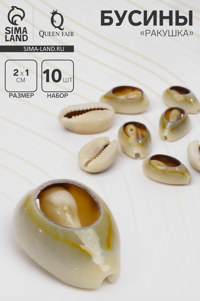 Бусины для творчества «Ракушка», 2×1 см, овальная, набор 10 шт, цвет коричневый - Фото 1