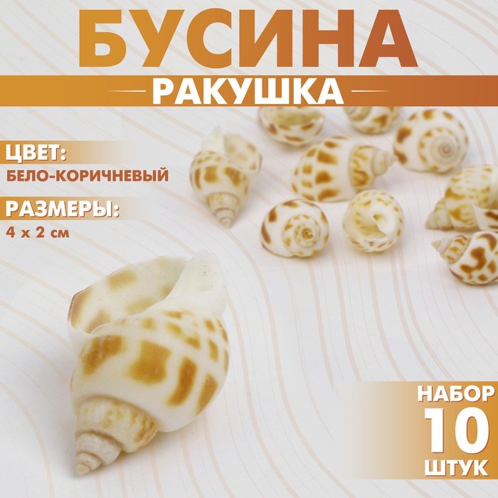 Бусины для творчества «Ракушка», рельефная, 4×2 см, набор 10 шт., бело-коричневые - Фото 1