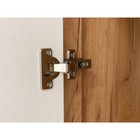 Шкаф двухдверный «Адам», 864×500×2170 мм, цвет дуб крафт золотой/белое дерево - Фото 5