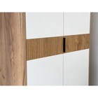 Шкаф двухдверный «Адам», 864×500×2170 мм, цвет дуб крафт золотой/белое дерево - Фото 6