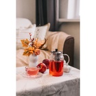 Заварочный чайник Magistro «Созидание», 1 л, металлическое сито, стекло - Фото 10