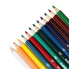 Карандаши цветные двусторонние 24 цвета "Классика", шестигранные - фото 24271149