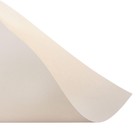 Бумага для пастели А4, 10 листов De Luxe, 160 г/м2, слоновая кость, в папке - фото 8906987