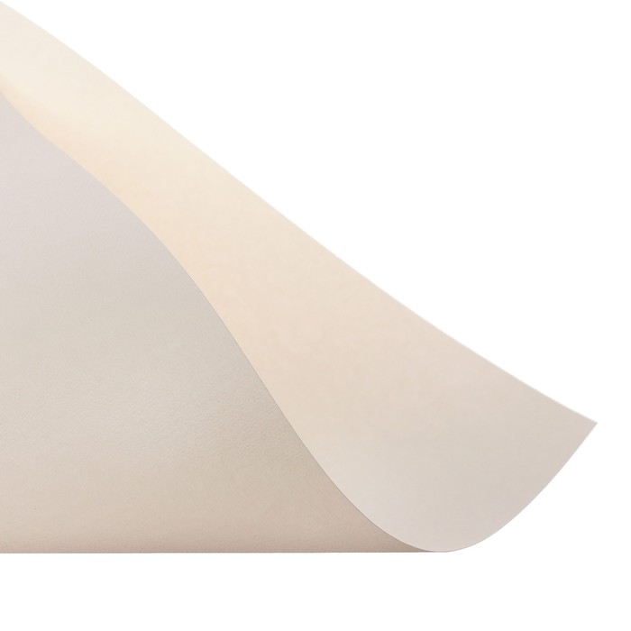 Бумага для пастели А4, 10 листов De Luxe, 160 г/м2, слоновая кость, в папке