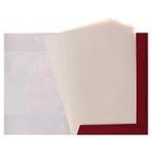 Бумага для пастели А3, 10 листов De Luxe, 160 г/м2, слоновая кость, в папке - фото 9973867