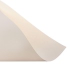 Бумага для пастели А4, 10 листов De Luxe, 160 г/м2, слоновая кость и тёмно-коричневый, в папке - фото 8906997