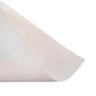 Бумага для пастели А3, 16 листов De Luxe, 200 г/м2, в папке - фото 8907009
