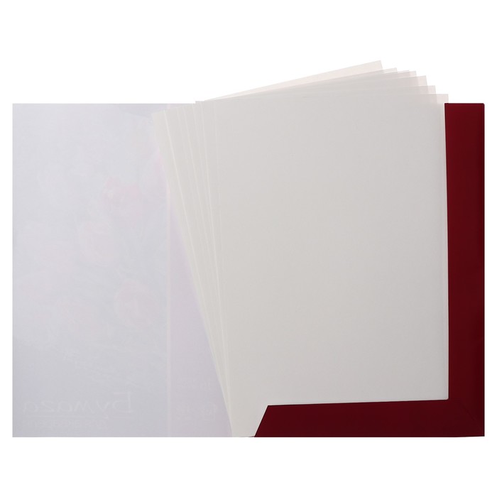 Бумага для пастели А3, 16 листов De Luxe, 200 г/м2, в папке