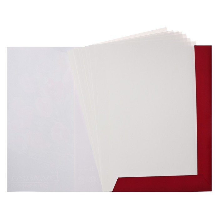 Бумага для пастели А4, 16 листов De Luxe, 200 г/м2, в папке