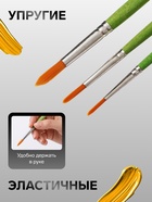 Набор кистей для рисования, синтетика ZOO, 3 штуки: № 2, 3, 5, «Луч ZOO», круглые - Фото 2