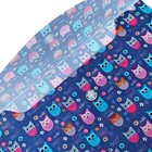 Набор папка-конверт на кнопке 12 штук, формат А5 180 мкр, Ассорти - фото 24415601 Набор папка-конверт на кнопке 12 штук, формат А5 180 мкр, Ассорти - фото 24415601