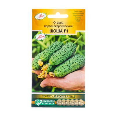 Семена Огурец партенокарпический «Шоша», F1, 5 шт., «Евросемена»
