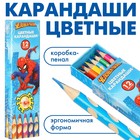 Цветные карандаши, 12 цветов, трехгранные, Человек-паук - фото 320999448