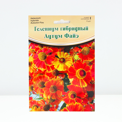 Гелениум "Autumn Fire", р-р I, 1 шт, Весна 2024