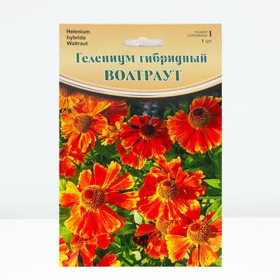 Гелениум "Waltraut", р-р I, 1 шт, Весна 2024
