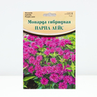 Монарда "Purple Lace ® PBR", р-р I, 1 шт, Весна 2024 - Фото 1