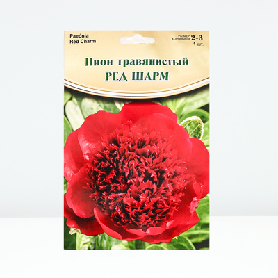 Пион "Red Charm", р-р 2-3, 1 шт, Весна 2024