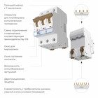 Автоматический выключатель 3P 20 A C 4,5 кА W903P204 - Фото 2