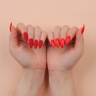 Накладные ногти, 24 шт, с клеевыми пластинами, форма миндаль, матовый/глянцевый, цвет алый - фото 8889003
