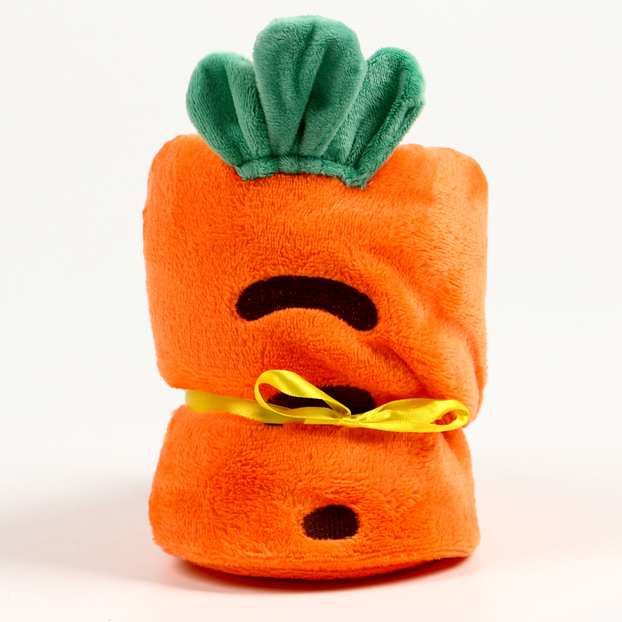 Мягкая игрушка-плед «Морковка», 20 см, цвет оранжевый - Фото 1