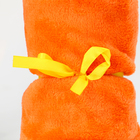 Мягкая игрушка-плед «Морковка», 20 см, цвет оранжевый - Фото 2